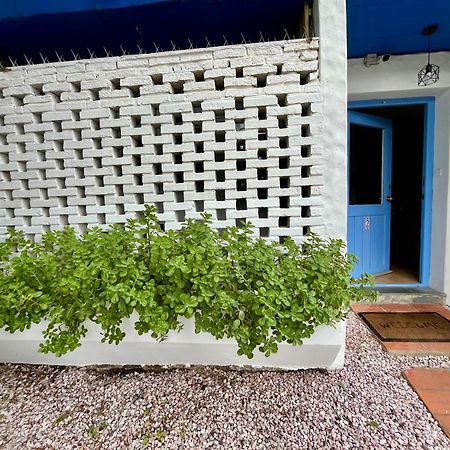 Puerta Azul Apartment Punta del Este Ngoại thất bức ảnh